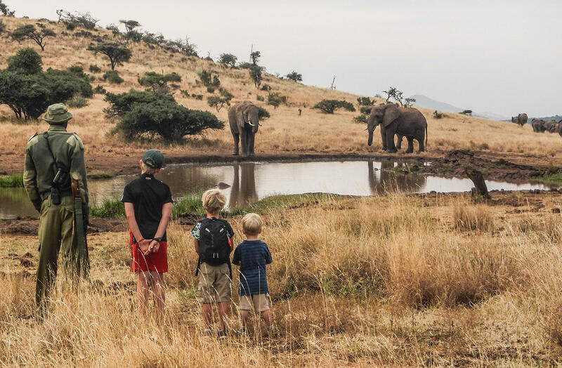 Children watching elephants